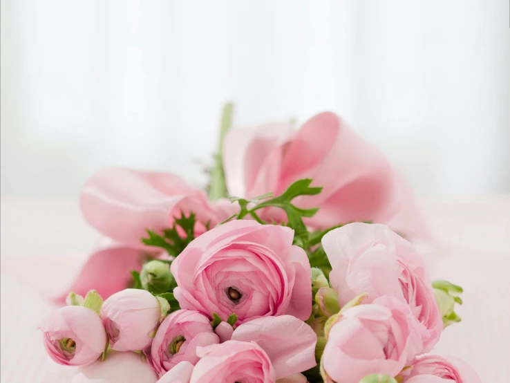 a bunch of pink flowers sitting on top of a table, upclose, light pink, sweet hugs, commercially ready