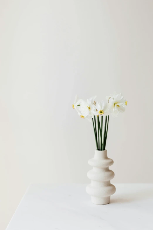 a white vase with some white flowers in it, by Carey Morris, unsplash, minimalism, very elongated lines, daffodils, in a white boho style studio, neo-classical composition