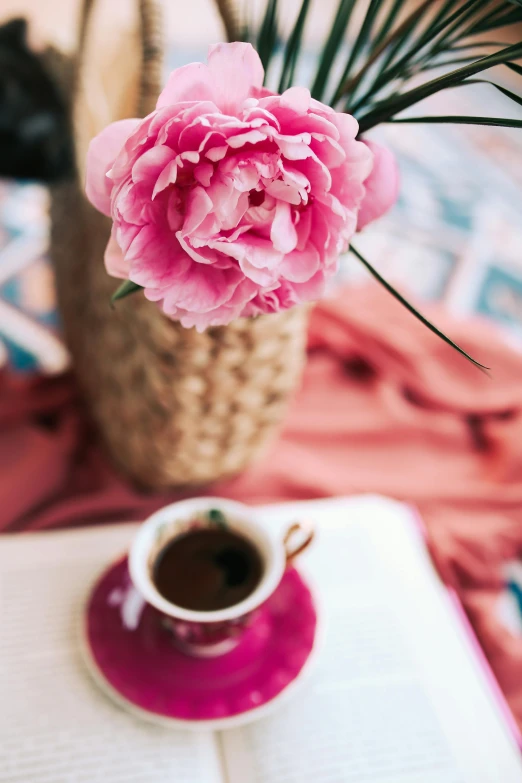 a pink flower sitting on top of a book next to a cup of coffee, peony, cold brew coffee ), vibrant color, date