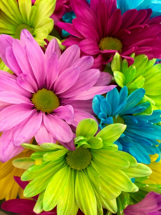 a close up of colorful flowers in a vase