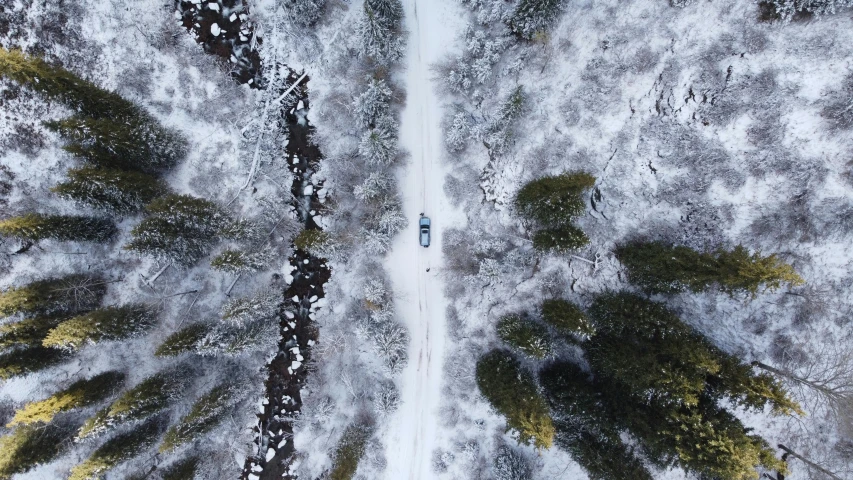 a forest filled with lots of trees covered in snow, by Adam Szentpétery, pexels contest winner, realism, top view of convertible, off-roading, photo on iphone, rectangle