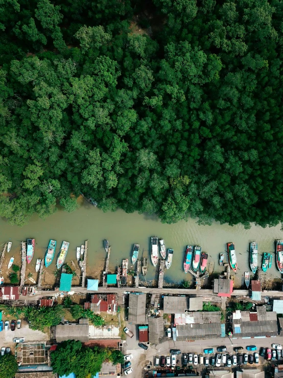 a group of boats sitting on top of a river, by Yi Insang, pexels contest winner, satellite imagery, mangrove trees, bird\'s eye view, looking partly to the left