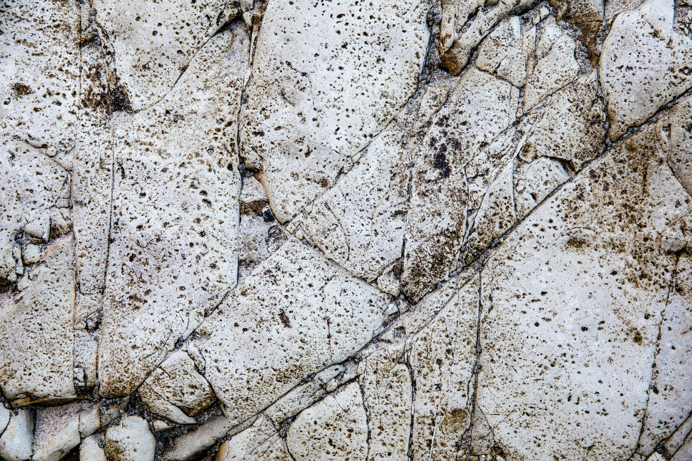 a red fire hydrant sitting on top of a pile of rocks, an album cover, inspired by Patrick Pietropoli, unsplash, concrete art, pale white detailed reptile skin, intricate hyperdetail macrophoto, cracked mud, white