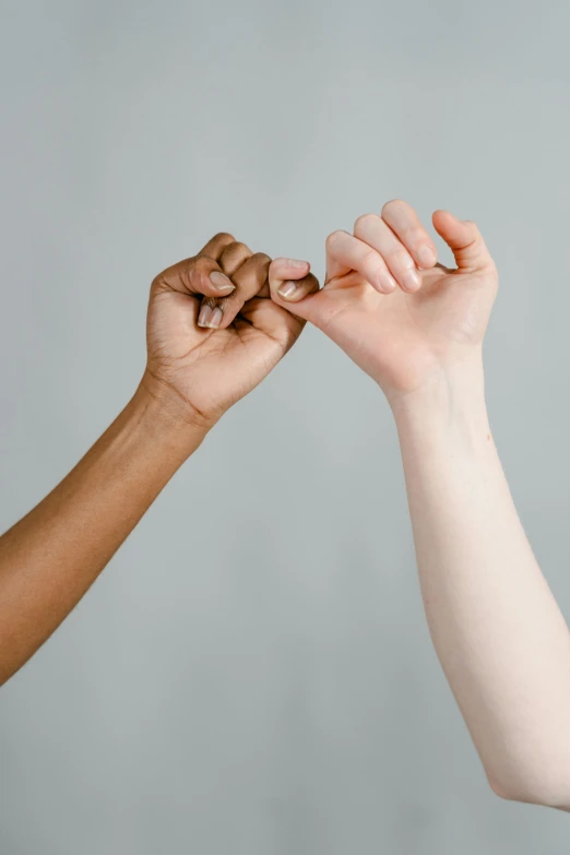 a close up of two people holding hands, by Arabella Rankin, synchromism, on a gray background, fist training, gradient brown to white, varying ethnicities