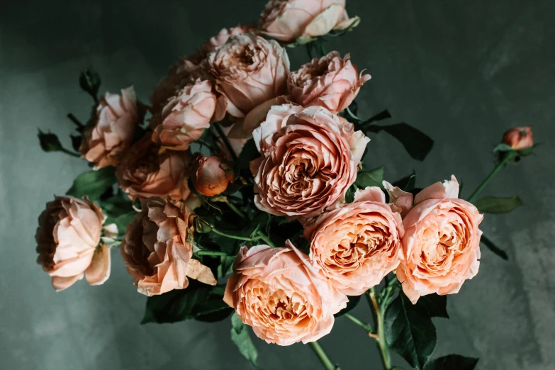 a close up of a bunch of flowers in a vase, trending on pexels, romanticism, crown of mechanical peach roses, on grey background, caramel. rugged, emily rajtkowski