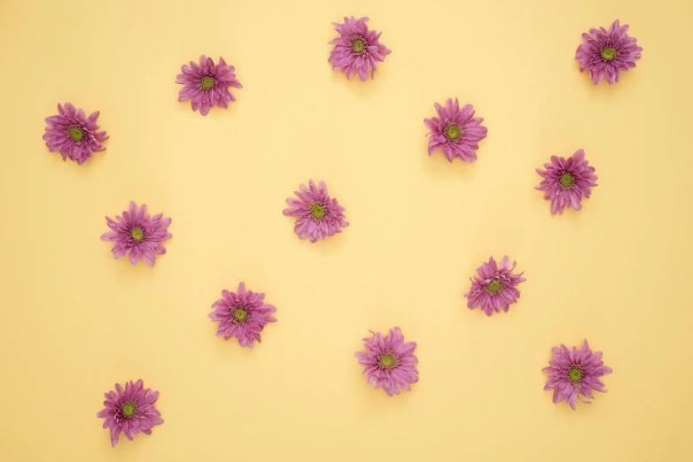 purple flowers arranged in a circle on a yellow background, trending on pexels, background image, floating symbols, perfectly tileable, lying down