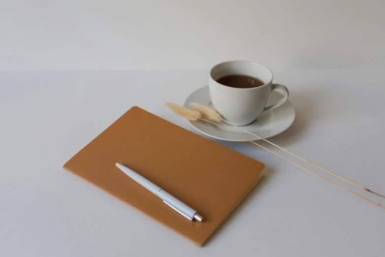 a cup of coffee and a notebook on a table, by Romain brook, minimalism, ochre, soft rubber, thumbnail, brown