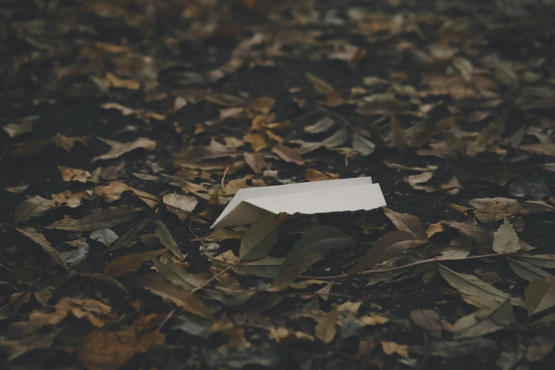 a piece of paper sitting on top of a pile of leaves, by Attila Meszlenyi, alessio albi, paper airplane, crashed in the ground, without text