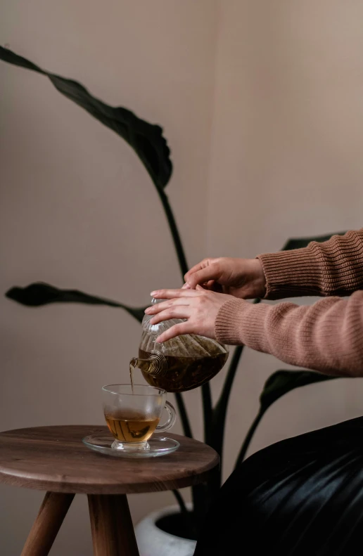 a woman is pouring tea into a glass, inspired by Elsa Bleda, plants, curated collections, brown, abcdefghijklmnopqrstuvwxyz