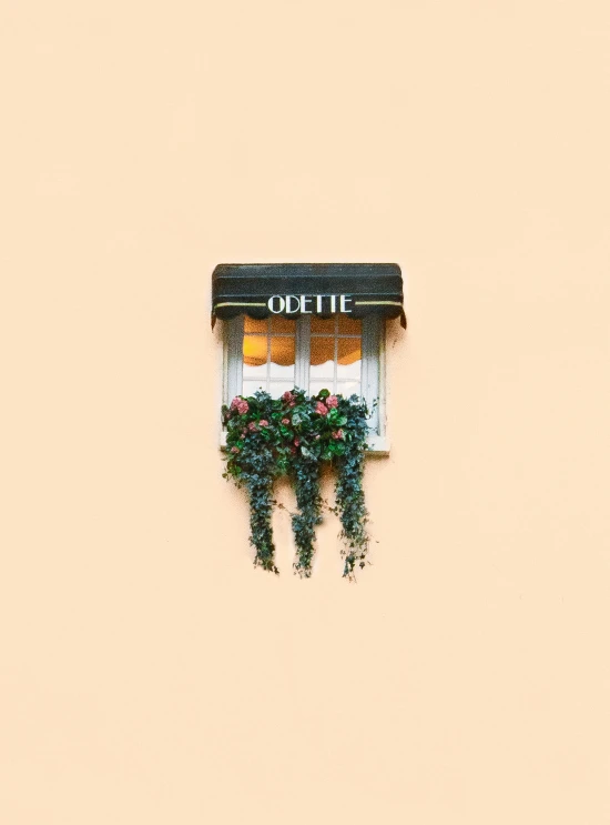 a close up of a window on a building, an album cover, by Totte Mannes, aestheticism, olive garden, miniaturecore, otjize, looking cute