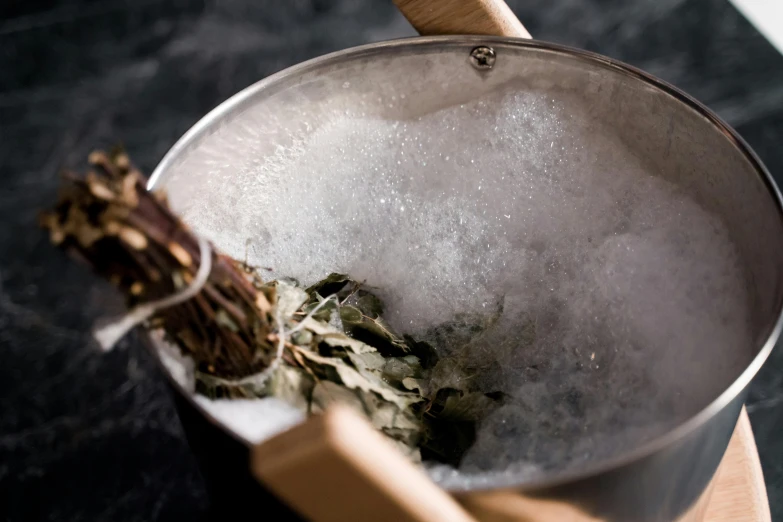 a pot that has some kind of plant in it, unsplash, process art, glinting particles of ice, sage smoke, close up angle, epicurious