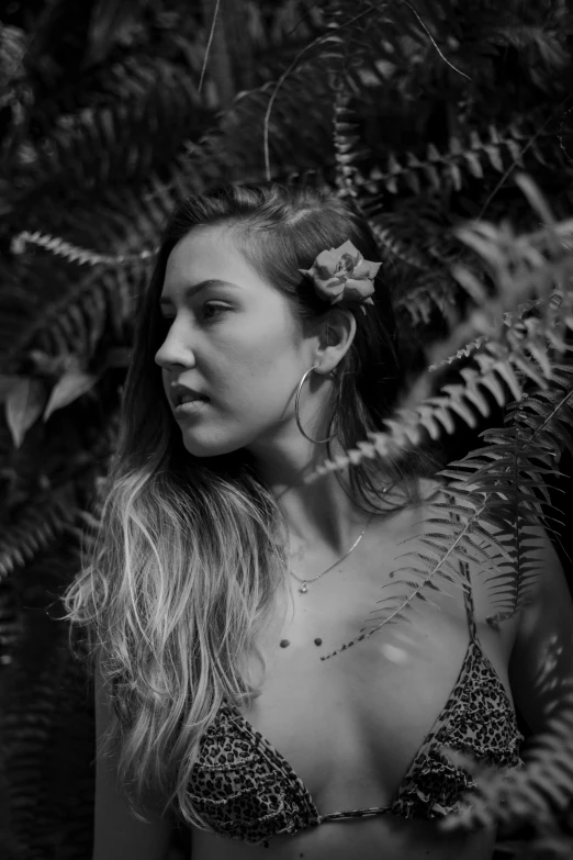 a black and white photo of a woman in a bikini, unsplash contest winner, realism, lush foliage, portrait of a young pocahontas, portait photo profile picture, hippy