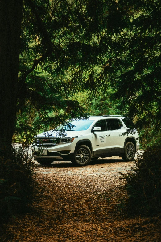 a white suv parked on a dirt road in the woods, award - winning, traverse, placed in a lush forest, profile image