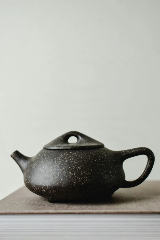 a black teapot sitting on top of a stack of books, inspired by Hendrik Gerritsz Pot, mingei, speckled, organic form, thumbnail, - 9