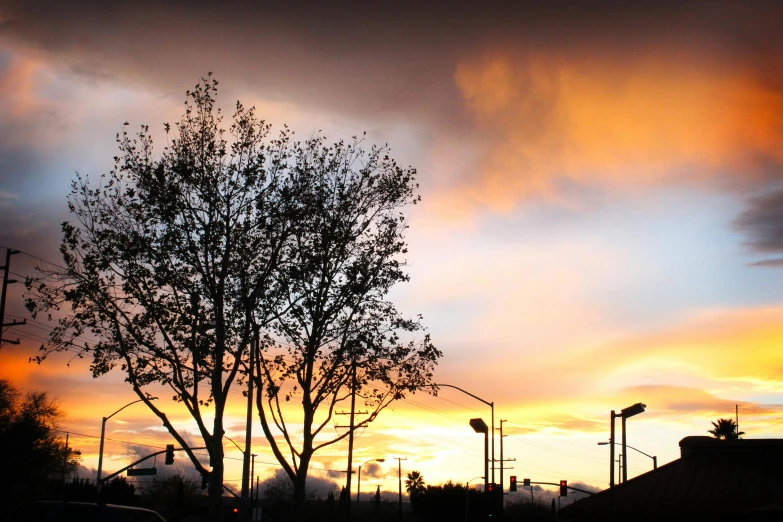 a tree is silhouetted against a sunset sky, by Robbie Trevino, happening, neighborhood, sunset + hdri, multiple stories, hd wallpaper