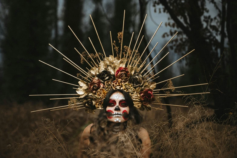 a woman wearing a sugar skull headdress in a field, pexels contest winner, lowbrow, bronze headdress, high quality photo, posed, cardboard