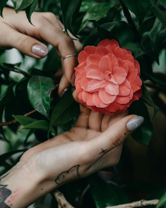 a person holding a flower in their hands, a colorized photo, inspired by Elsa Bleda, trending on unsplash, lush garden leaves and flowers, coral, rose tattoo, woman holding another woman