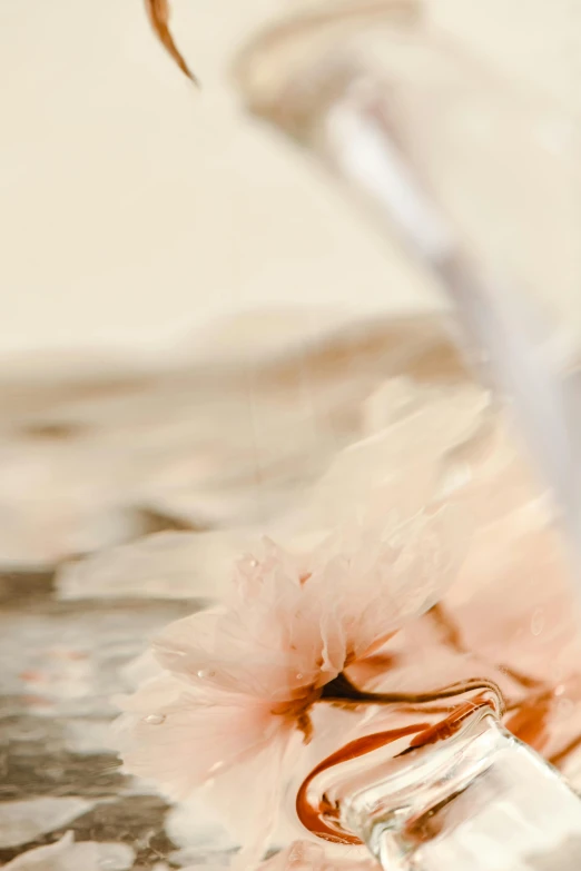 a vase filled with pink flowers sitting on top of a table, a macro photograph, by Ruth Simpson, trending on pexels, romanticism, the hair floats on the water, ballerina, made of silk paper, detail shot