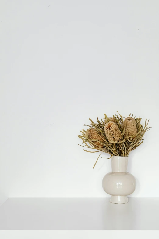 a white vase sitting on top of a white shelf, a picture, by Andries Stock, trending on unsplash, made of dried flowers, background image, boys, beige color scheme