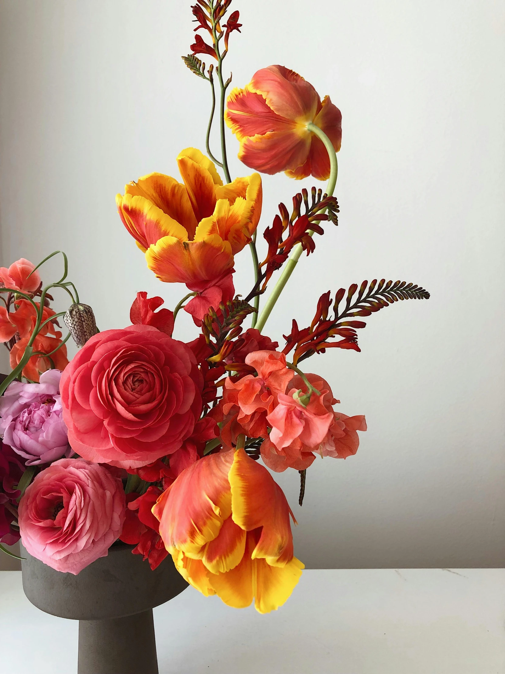 a vase filled with lots of different colored flowers, light red and orange mood, tulip, vibrant but dreary gold, botanicals