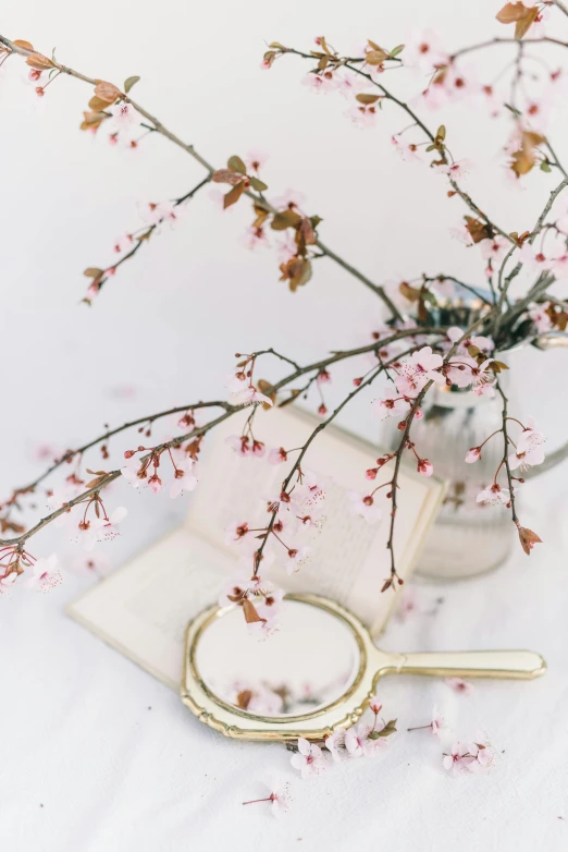 a vase filled with pink flowers next to a pair of scissors, inspired by Kanō Shōsenin, trending on unsplash, romanticism, plum blossom, 2000s photo, books and flowers, overhanging branches