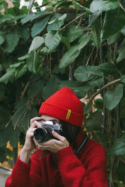 a woman taking a picture with a camera, a picture, inspired by Elsa Bleda, unsplash contest winner, wearing a red backwards cap, amongst foliage, wearing a red turtleneck sweater, yellow and red color scheme