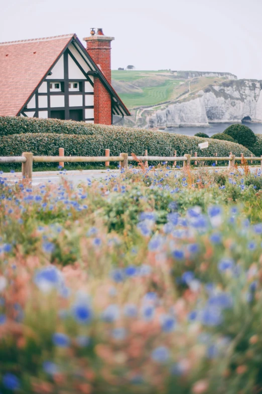 a house sitting on top of a lush green field, inspired by Henri Harpignies, unsplash, color field, mediumslateblue flowers, coastal cliffs, exterior botanical garden, blue and orange