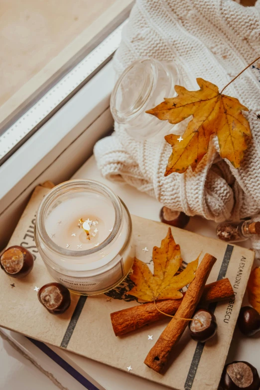 an open book sitting on top of a window sill, a still life, pexels contest winner, fall leaves, white candles, lumi, acorns