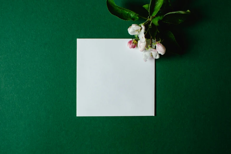 a piece of paper sitting on top of a green surface, an album cover, inspired by Art Green, trending on pexels, flowers and foliage, restaurant menu photo, white color, square