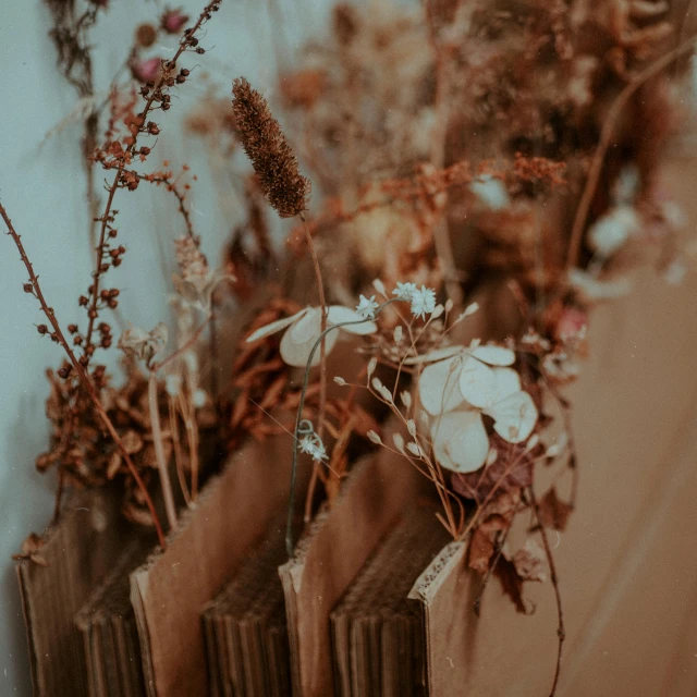 a bunch of flowers sitting on top of a radiator, trending on unsplash, renaissance, made of dried flowers, an overgrown library, brown tones, low quality photo