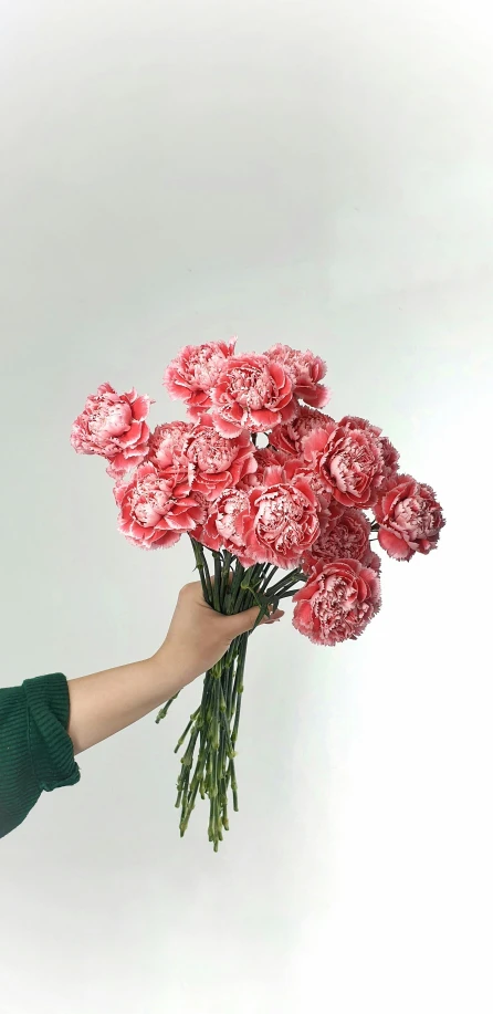 a woman holding a bunch of pink carnations, a colorized photo, inspired by François Boquet, pexels, made of glazed, coral red, hyper realistic detailed render, large tall