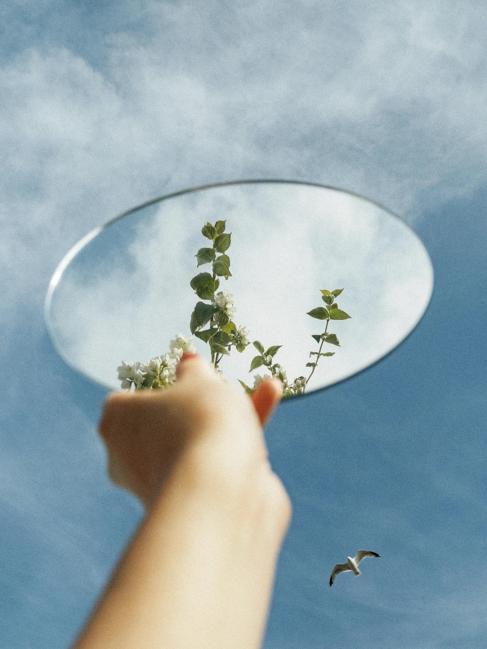 a person holding a mirror with a plant in it, inspired by Anna Füssli, unsplash contest winner, looking up onto the sky, plants in scientific glassware, clouds visible, high transparency