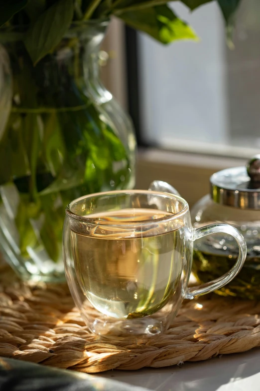 a glass cup sitting on top of a table next to a vase of flowers, green tea, sage, slide show, warm light