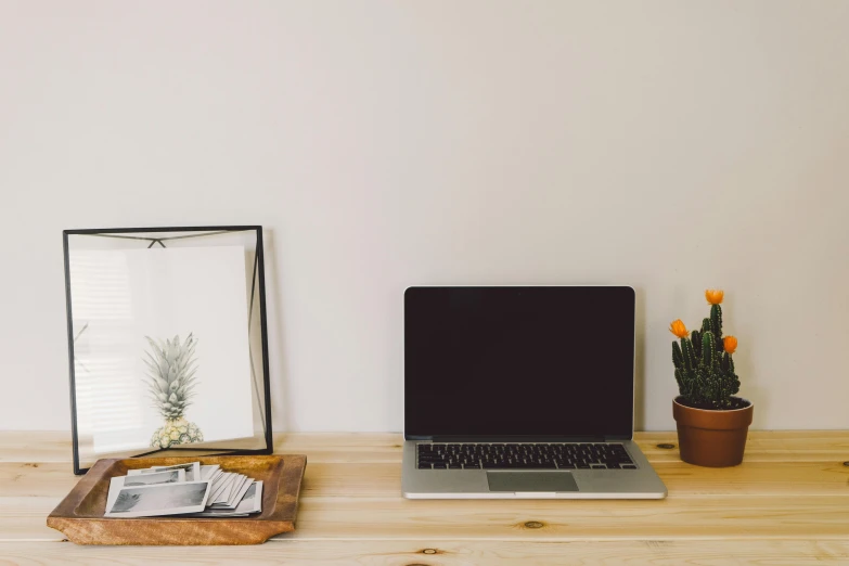 a laptop computer sitting on top of a wooden desk, a minimalist painting, pexels, background image, 9 9 designs, family photo