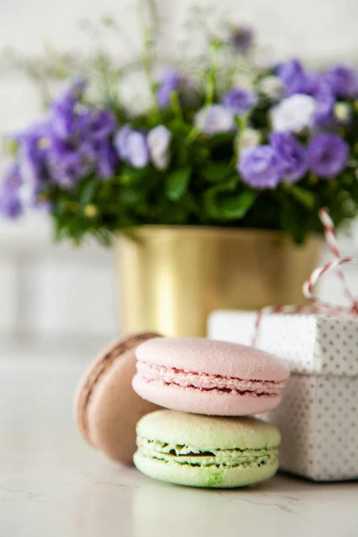 a bunch of macarons sitting on top of a table, flowers, presents, side profile shot, hay