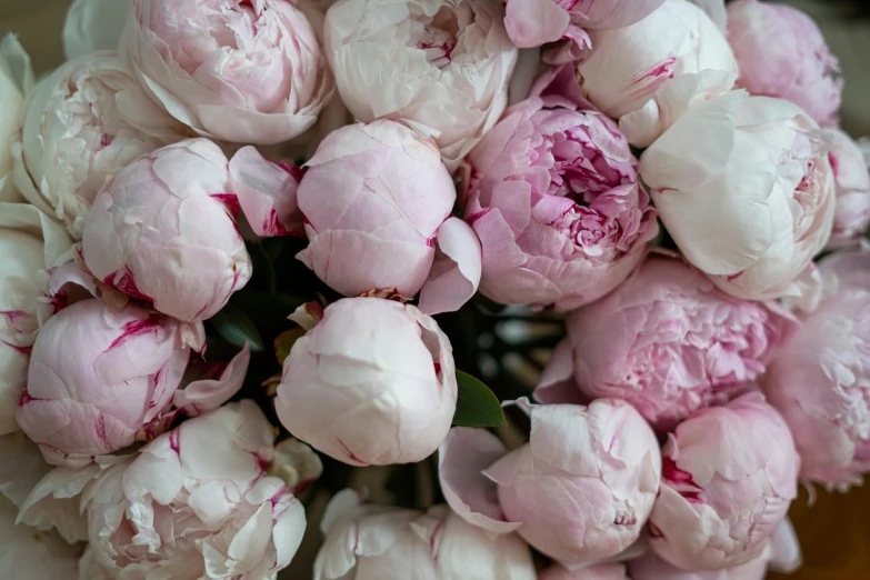 a close up of a bunch of flowers in a vase, by Susy Pilgrim Waters, trending on unsplash, baroque, many peonies, light blush, various sizes, premium quality