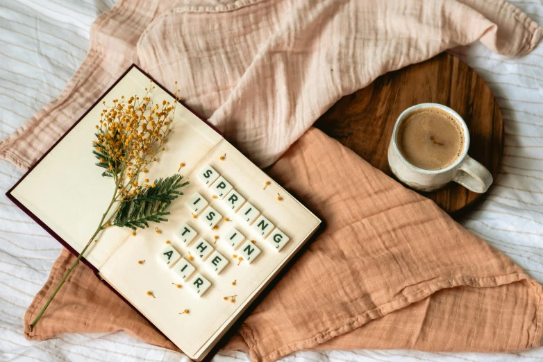 a book sitting on top of a bed next to a cup of coffee, a cross stitch, trending on unsplash, visual art, early spring, brown clothes, soft blush, letters