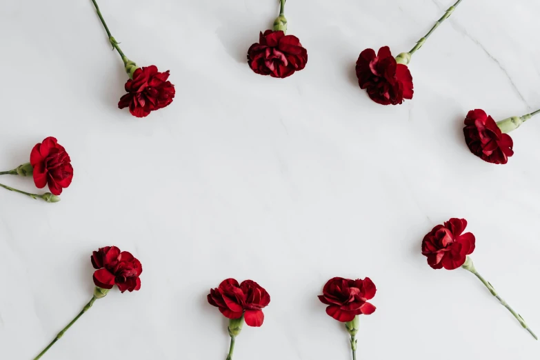 red carnations arranged in a circle on a marble surface, trending on pexels, background image, rose crown, red velvet, handcrafted