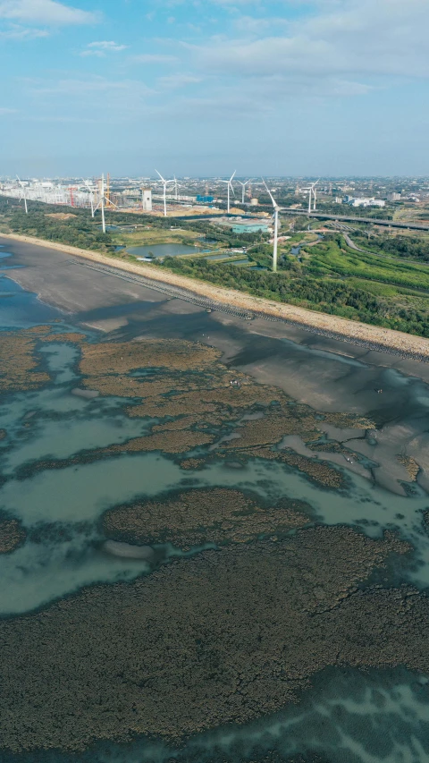 a large body of water next to a beach, by Paul Bird, factories and nature, aerial viewyoji shinkawa, marsh, tokyo