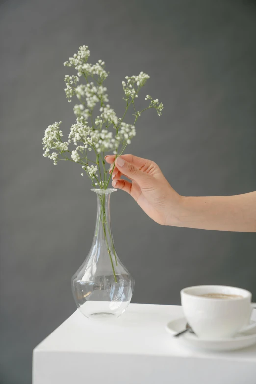 a person holding a vase of flowers next to a cup of coffee, inspired by Constantin Hansen, minimalism, gypsophila, glassware, made of lab tissue, holding a bottle of arak