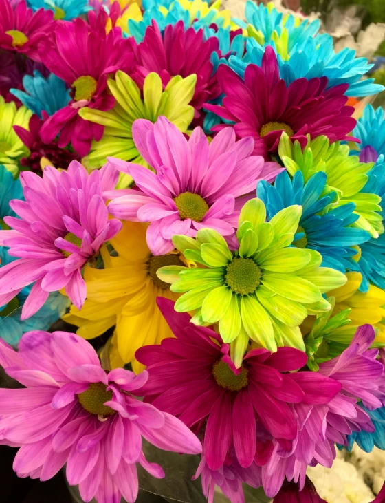 a vase filled with lots of colorful flowers, colored neons, zoomed in, daisies, turquoise pink and green