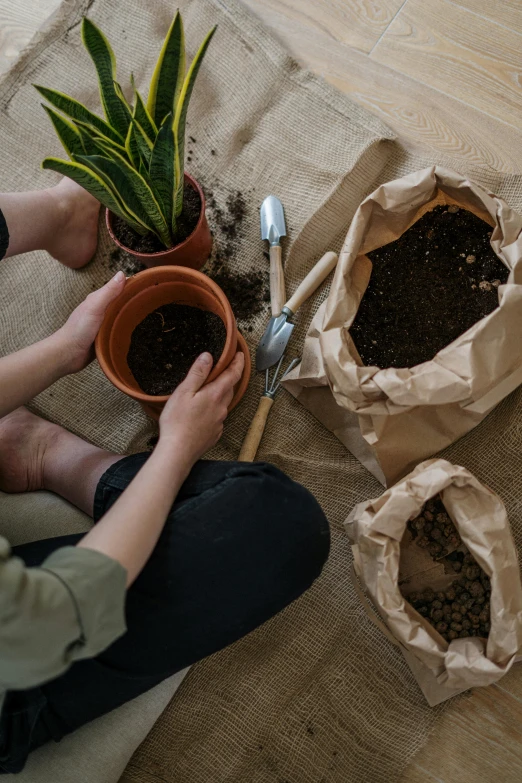 a woman sitting on the floor holding a potted plant, by Adriaen Hanneman, pexels contest winner, knolling, brown paper, kicking up dirt, inspect in inventory image