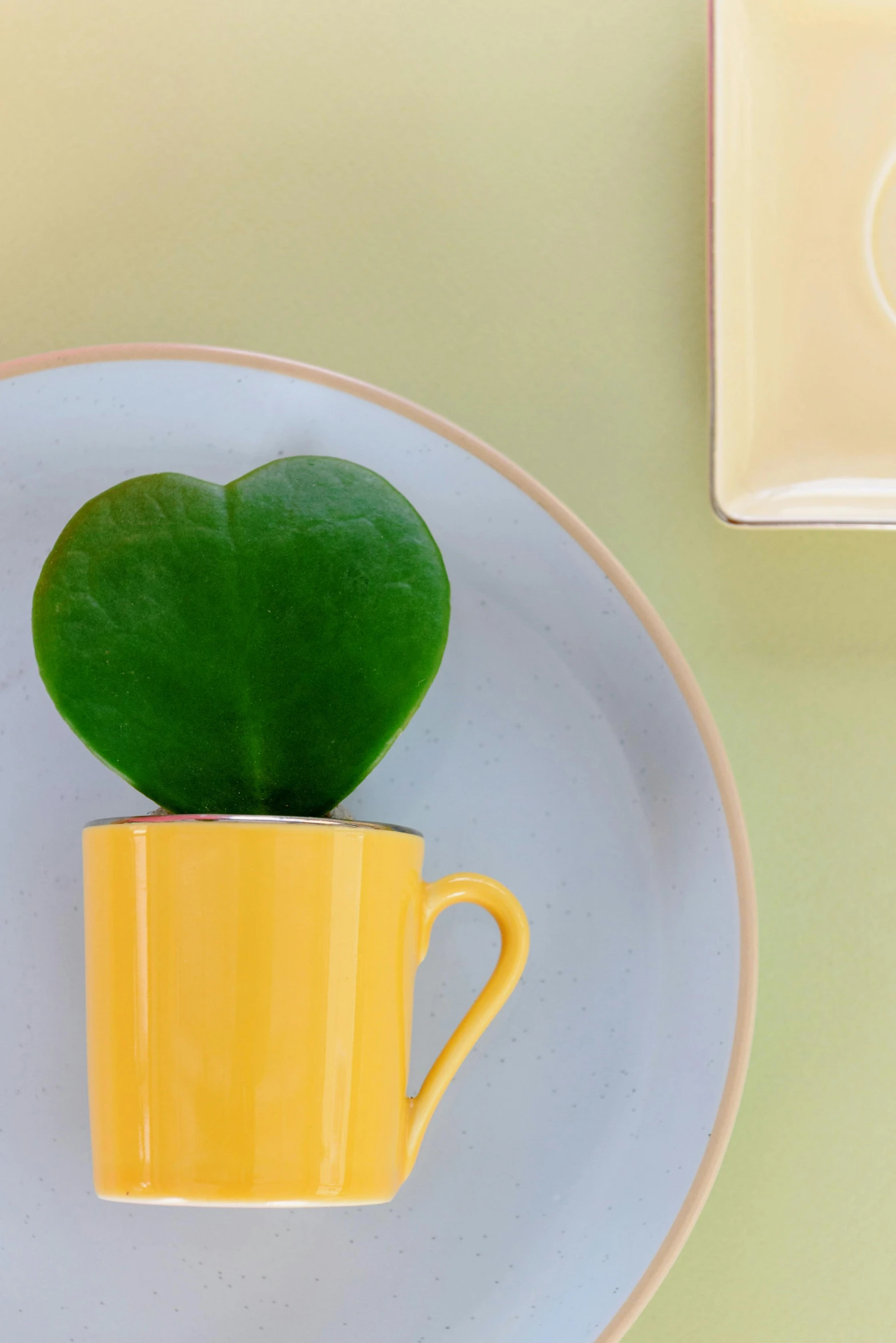 a green plant in a yellow cup on a plate, inspired by Jim Dine, hearts, sustainable materials, jade green, product display photograph