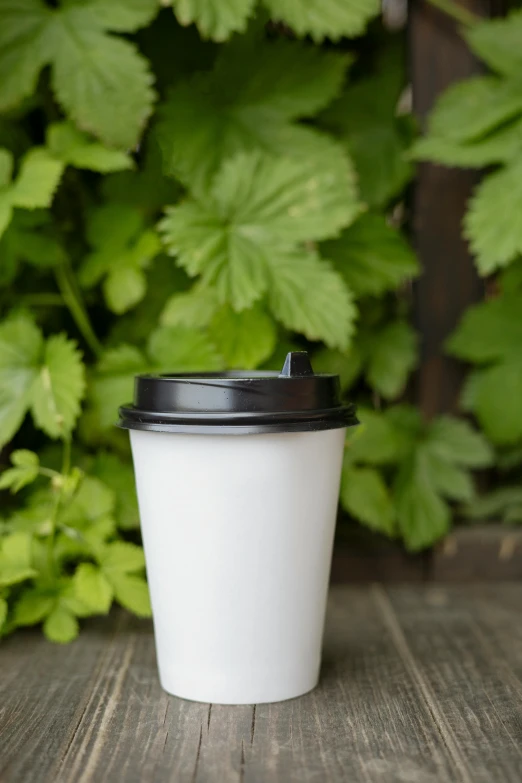 a coffee cup sitting on top of a wooden table, amongst foliage, detailed product image, paper cup, thumbnail