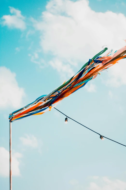 a kite that is flying in the sky, by Niko Henrichon, trending on unsplash, kinetic art, gang flags, colorful vines, cords, midsommar