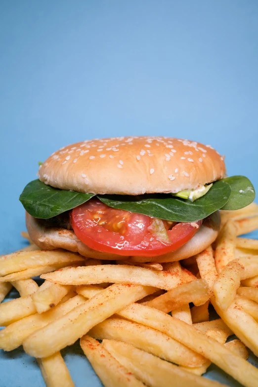 a hamburger sitting on top of a pile of french fries, unsplash, photorealism, avatar image, chicken sandwich, studio photo, 15081959 21121991 01012000 4k