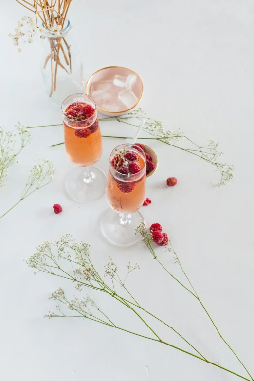 a couple of wine glasses sitting on top of a table, a still life, inspired by Jacopo Bellini, pexels, made of flowers and berries, juice, elegant minimalism, raspberry