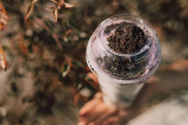 a person holding a cup with dirt in it, by Emma Andijewska, trending on pexels, plasticien, an island made of caviar, violet ants, manuka, transparent