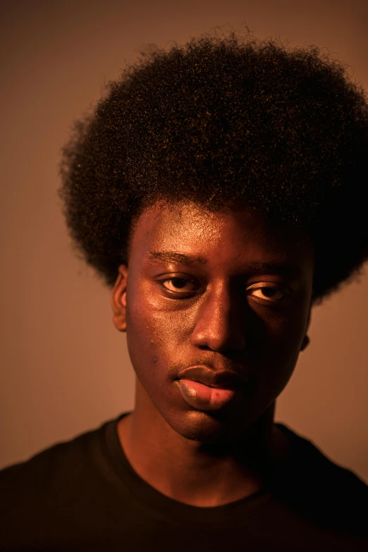 a close up of a person with an afro, by Nathalie Rattner, portrait of a rugged young man, low lighting, black teenage girl, proud serious expression