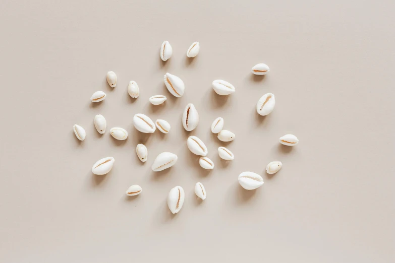 a pile of white shells sitting on top of a table, trending on pexels, plasticien, beans, beige, high-quality render, background image